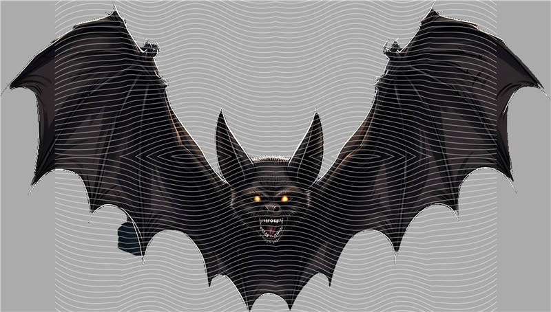Halloween-WS 285